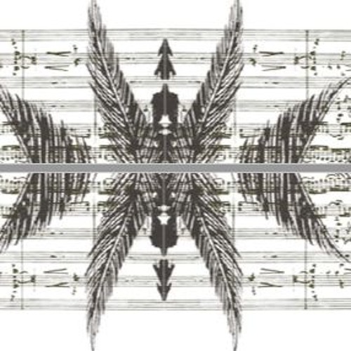 Notes On Tāmaki Concert Series