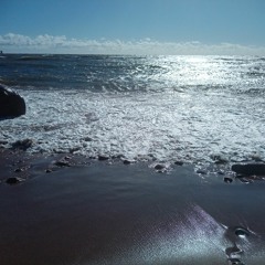 sonozero systo2020 sunday morning