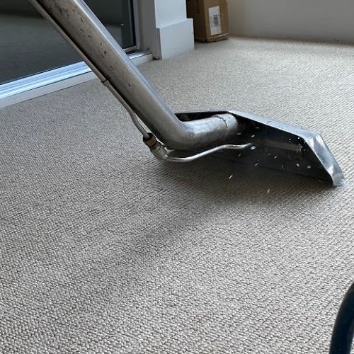 4 Factors Essential For Insurance Claim Of A Carpet Cleaning Company