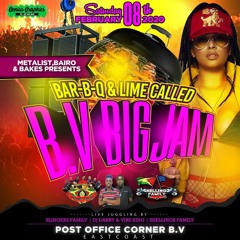 SLINGERZ FAMILY LIVE IN BV