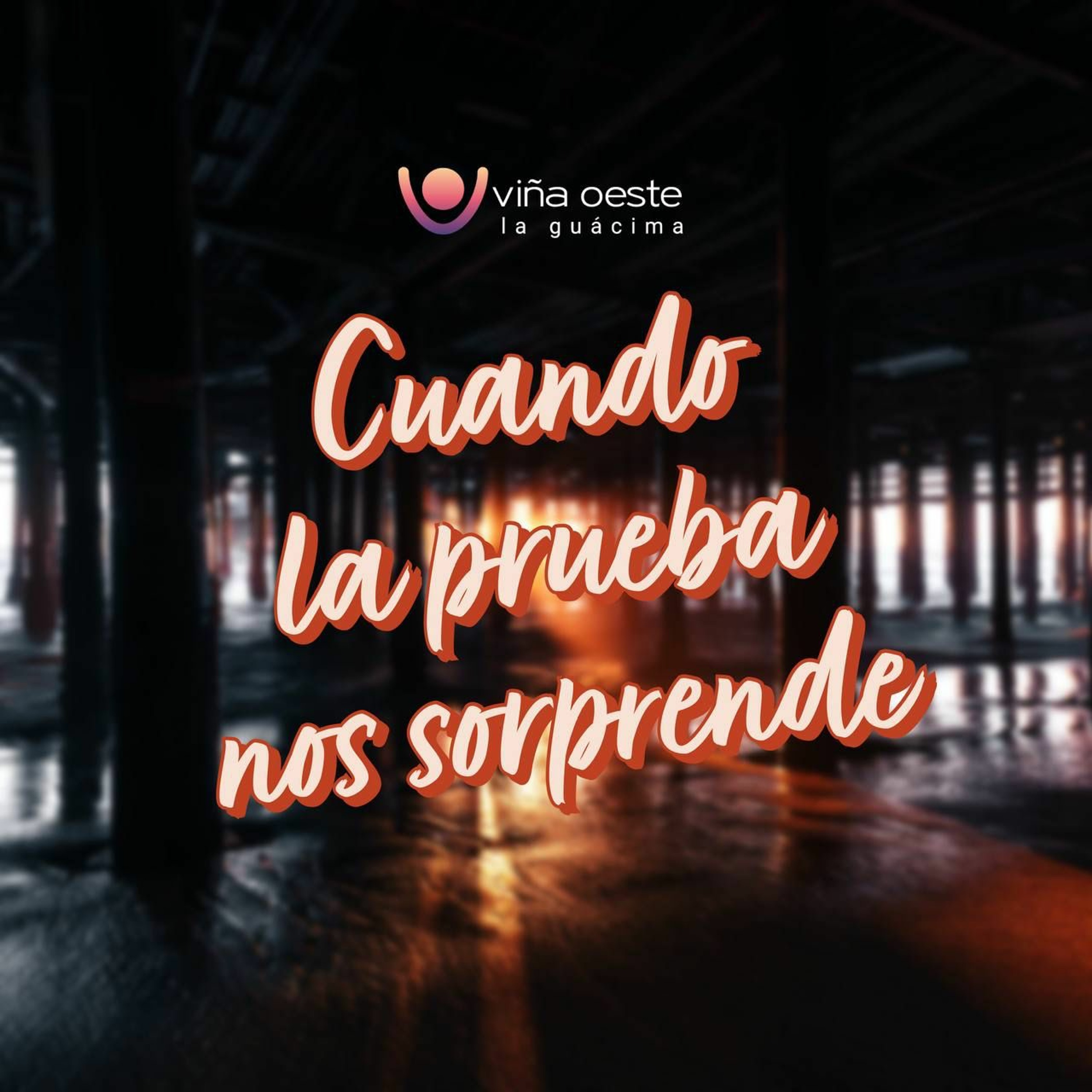 23-01-2021 - Charla: Cuando la prueba nos sorprende - Erika Vega episode artwork