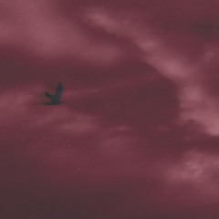 Am I fading? (FREE DOWNLOAD)