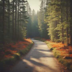 The Road to Nowhere