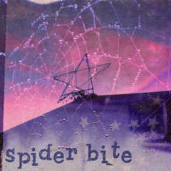 SPIDERBITE MSTR 3