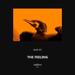 ALVA (IT) - My Goodness [Bullfinch]