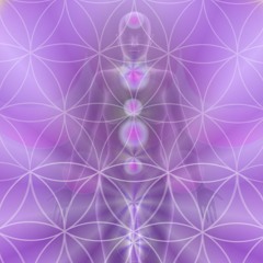 TRANQUILITY MUSIC SHADOW WS Experiencing Anger 1