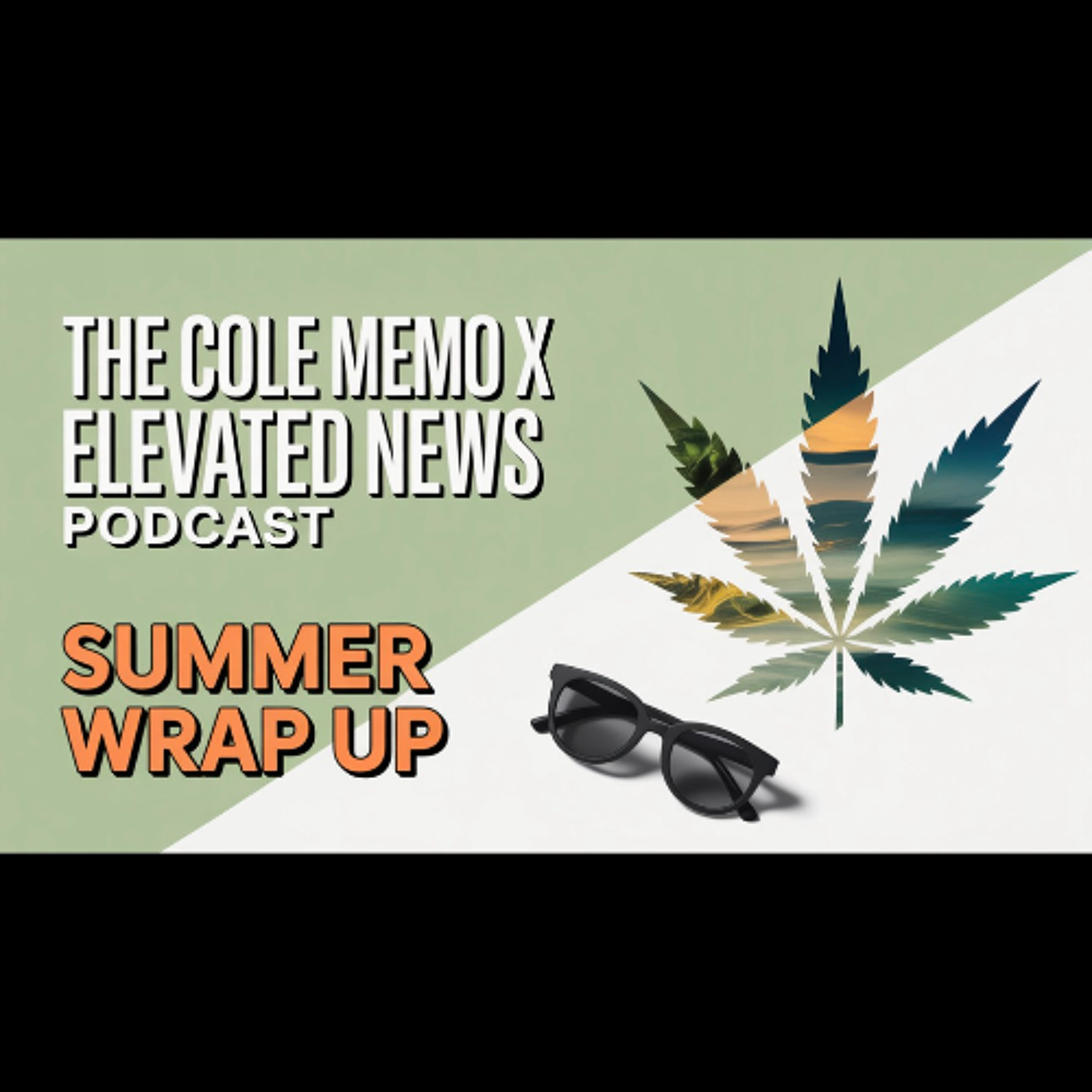#227 - SUMMER SUPER SHOW: Elevated News Podcast x The Cole Memo episode artwork