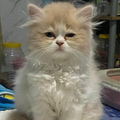 อ้ายรอน้องมาเป็นแฟนอยู่เด้อ