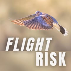 Flight Risk