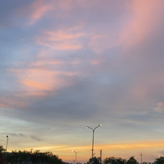 搁浅 - 杨丞琳.mp3