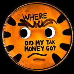 WHERE DID MY TAX MONEY GO | Remix Tiger King | Alternative Rock Rage Rock Music