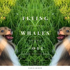 Flying Whales #013 [15 May 2021]