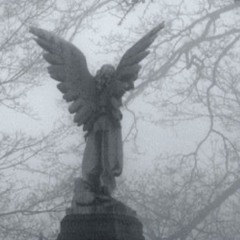 I'm in love with a girl