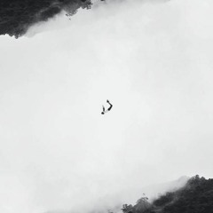 VOID