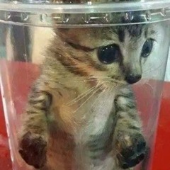 logging back on . i just needed to stay