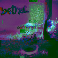 don't forget me. (chopped + slowed)