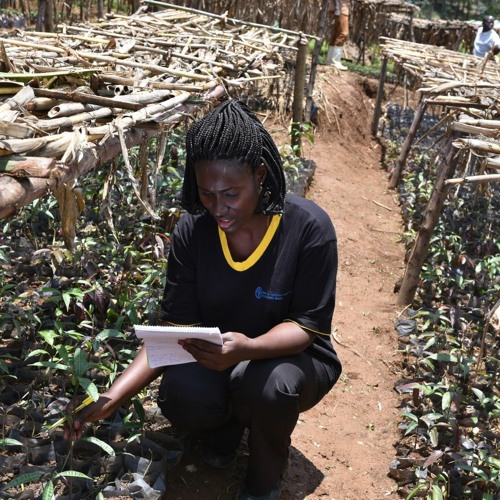 Rwanda's journey towards sustainable food systems