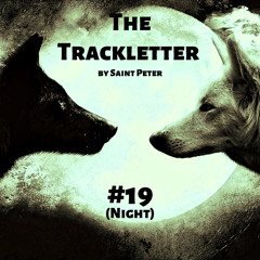 Saint Peter - The Trackletter #19 (Night)