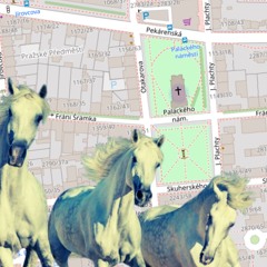 VONxDONxSON - VRANÝ KONĚ “syrový freestyle”