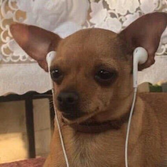 집 [prod . scary'p]