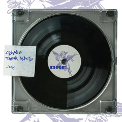 Shake them hips VIP MIX