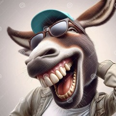 donke 2025 #1