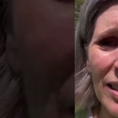 Original: joni ernst apology video senator joni ernst apology video reddit