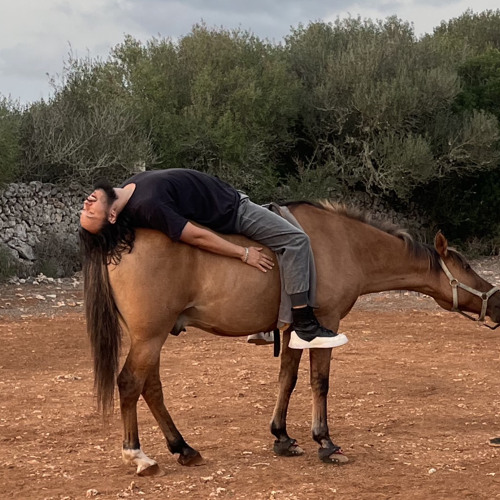 Premiere: OVERLOAD - HORSES & JUNGLES