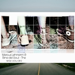 Marcus Lehmann & Bina del Soul - The way you are ( Original Mix )