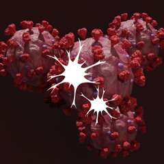 SNPS PREMIERE: aka ieuan - Quantizing Gravity