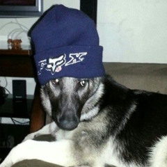 I'll throw in the towel