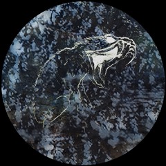 Neural Scape - Networks [GIFKIKKER]