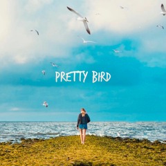 Pretty Bird