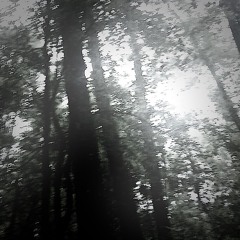 twilight+ (feverporch, kxtzw1nnn)