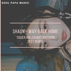 [Free Download] SHAUN - Way Back Home (티거,이나,처비라쿤 2K21 Remix)