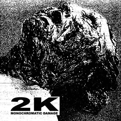 2K • MONOCHROMATIC DAMAGE • FEAT- s k i n t a p e | Spit Pile | PSYWARFARE