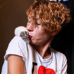 Kate Breda : l’art de soigner avec une tribu à poils et plumes