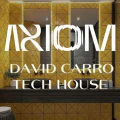 DAVID CARRO @AXIOM headquarters (EL BAÑO)