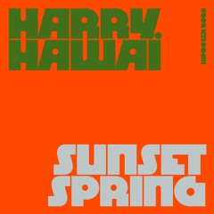 Harry Hawaii - Sunset Spring Feat. Robert Giegling