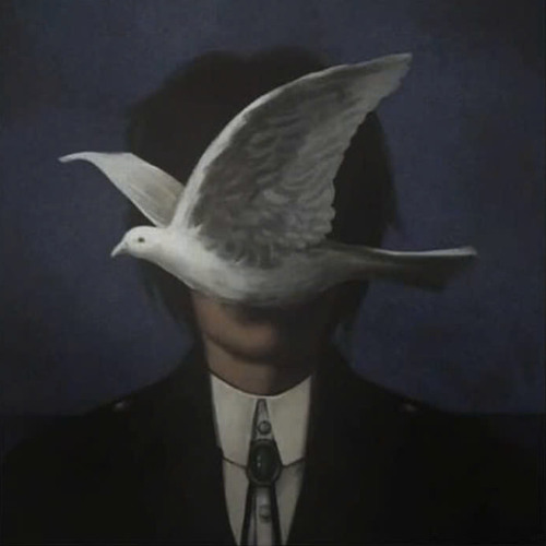 身骑白马 (抖音DJSjun版 2024) Thân Cưỡi Bạch Mã (Remix Tiktok) ｜｜ Hot Tiktok Douyin