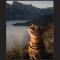 ~ STBB [ That Good Spirit ] 861 ~  NoFoMo ~ !