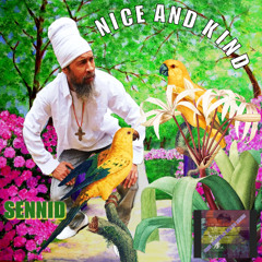 SENNID & JOSH GRENNAN BEATS MUSIC -  NICE AND KIND