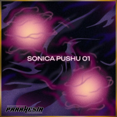 SONICA PUSHU 01 w/ Aletta