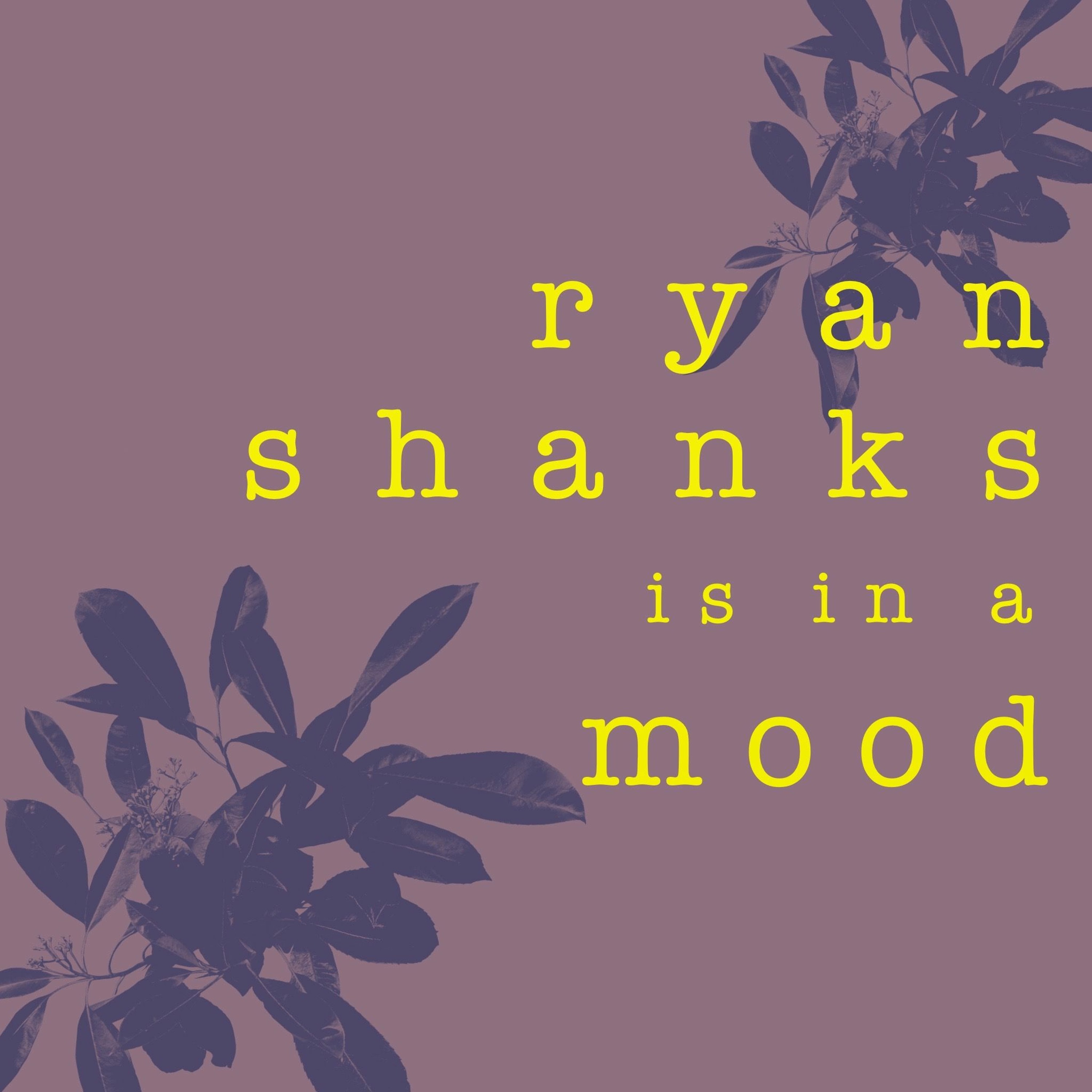Ryan Shanks is in a Mood