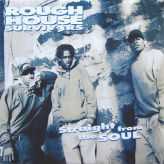 Rough House Survivers - Can U Dig It feat. C.L. Smooth [1992]