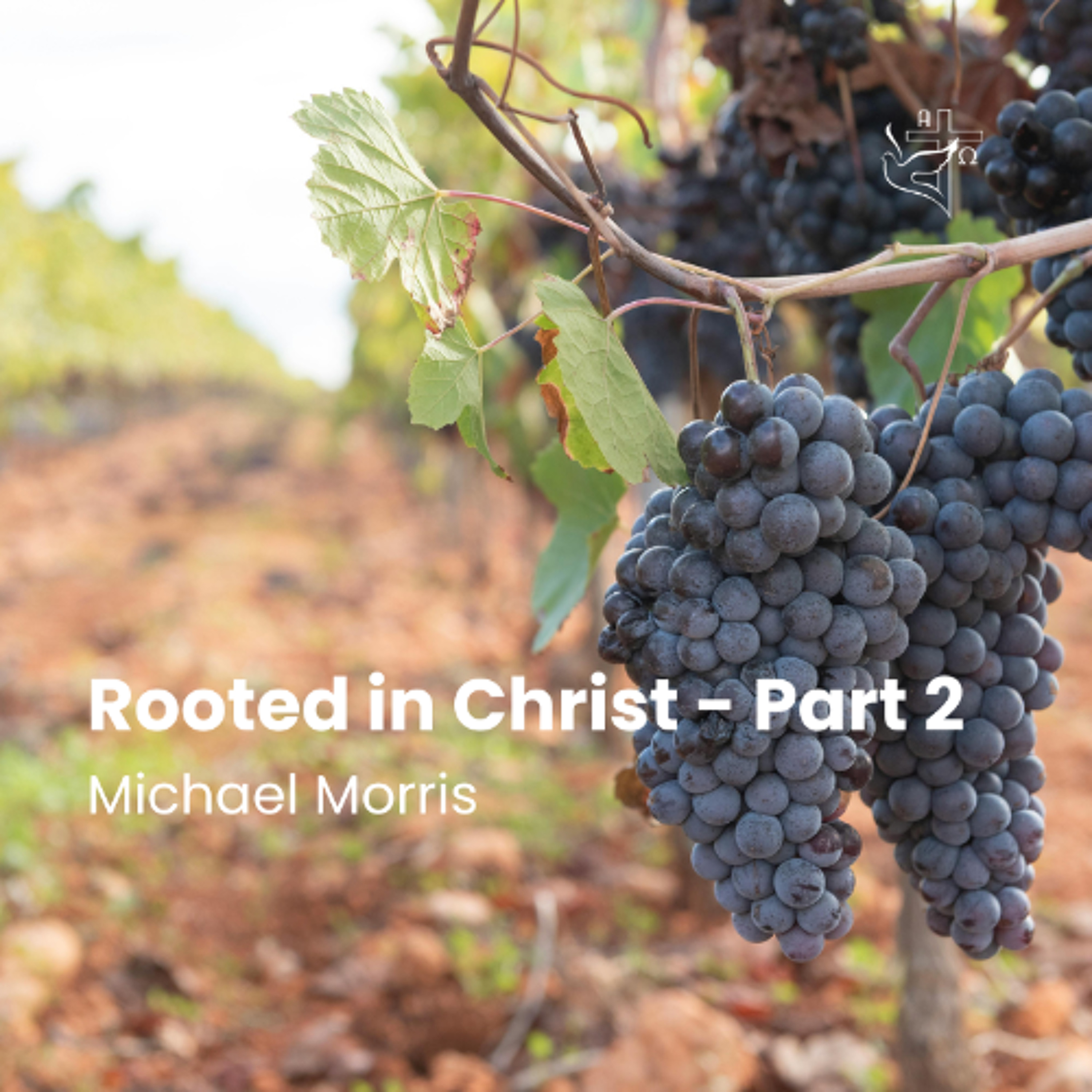 Rooted in Christ - Part 2 episode artwork