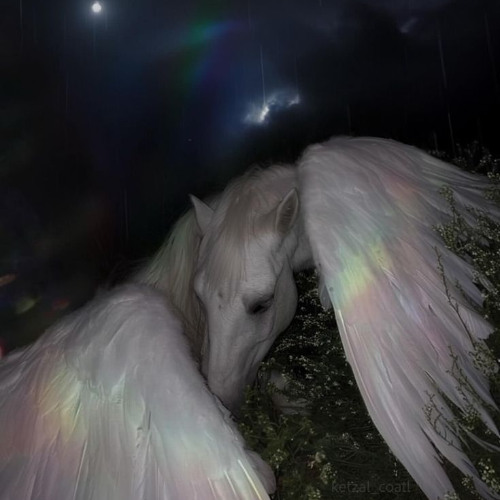 trippin for
