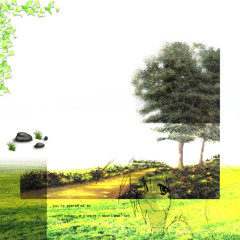 song 25