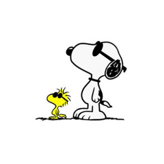 Gabriel MSD - Funky Groove House mix