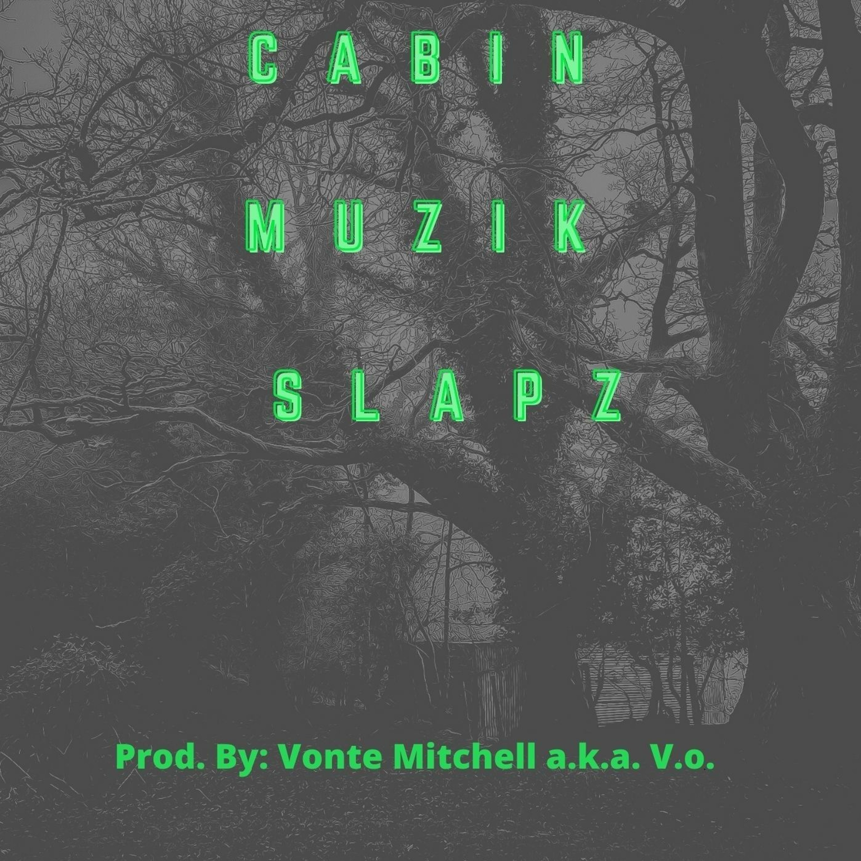 V.o. N King Shroom - Lean episode artwork